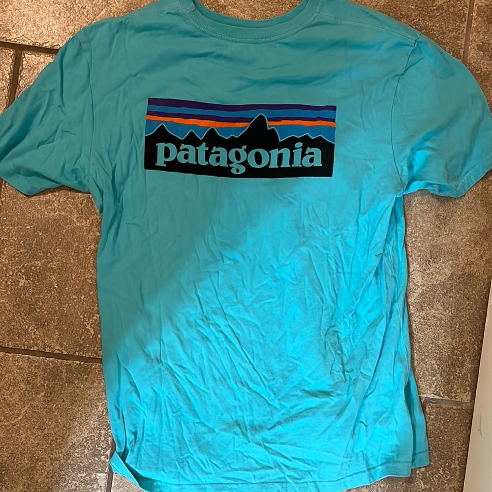 Patagonia Mens tee shirt